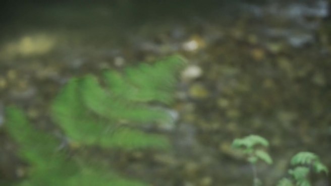 Шикарная грудастая цыпочка и её идеальное обнажение на свежем воздухе #1